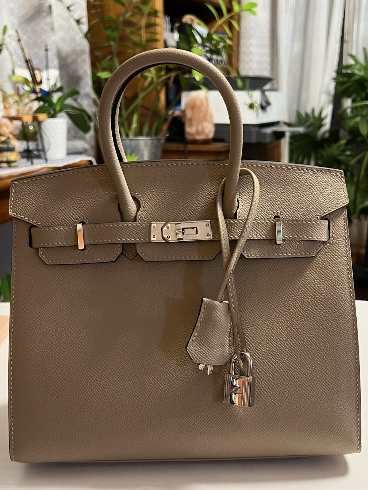 Hermes Birkin 25Cm EP-214 Togo Leather Silver Hardware