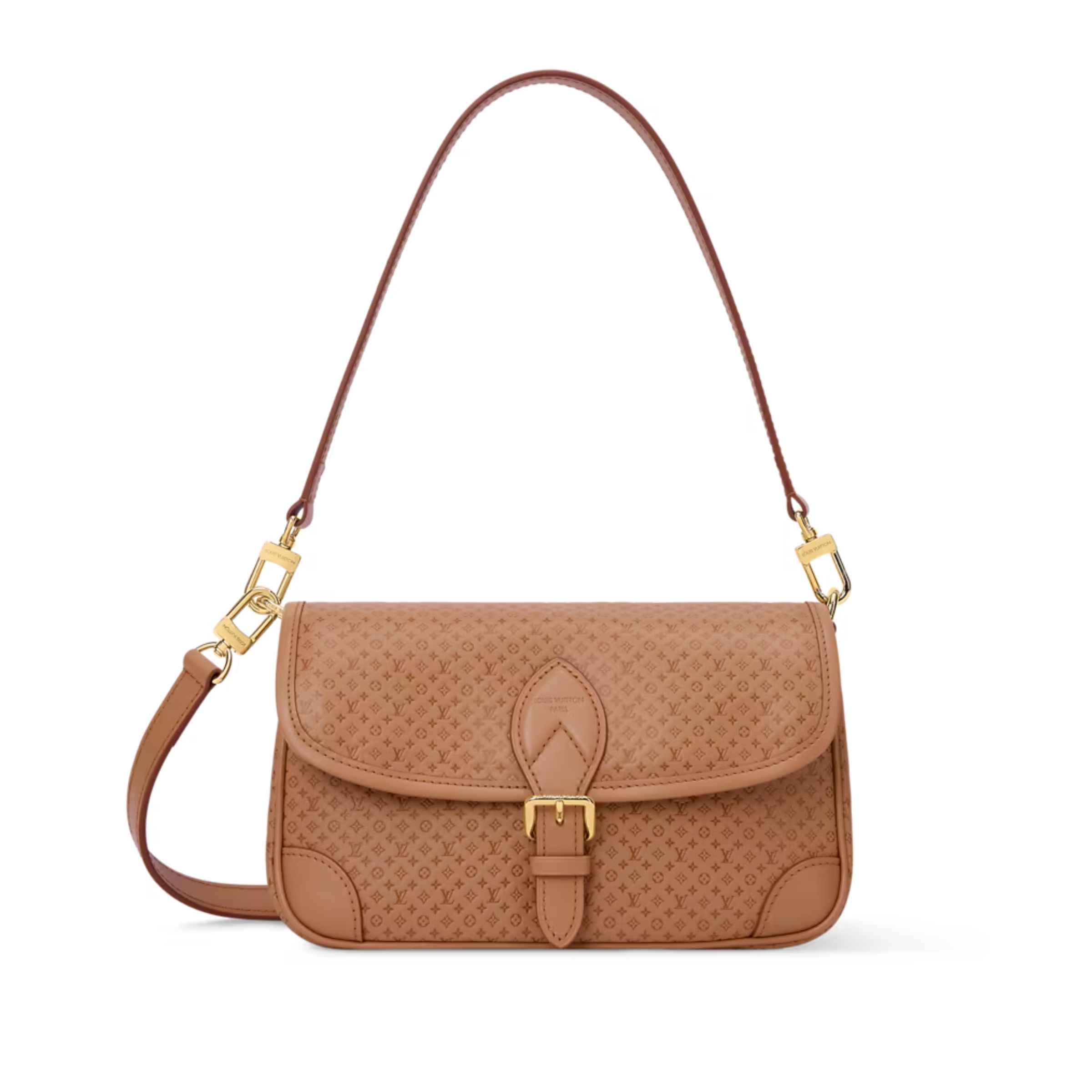 Louis Vuitton Diane PM Bag Noisette Color 24cm M29162