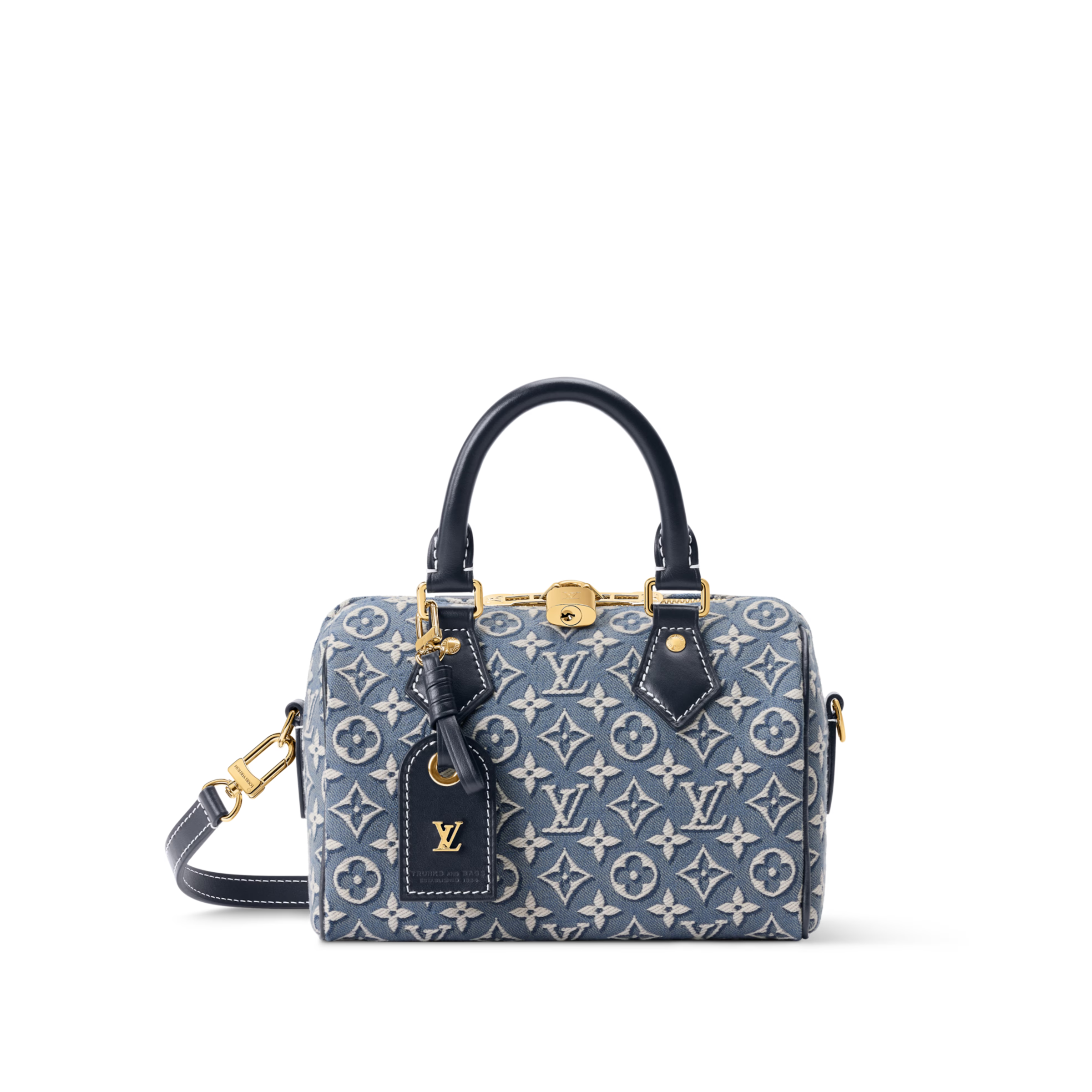 Louis Vuitton Speedy Bandoulière 20cm/8in Monogram Embleme Bleu M2A187